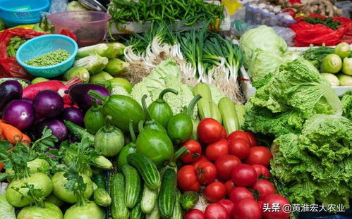 加快建設全國統一大市場，蔬菜存儲需注意什么？——解讀釋放的關鍵信號