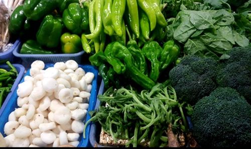 變廢為寶 食品科技助力蔬菜副產物綜合利用率提升與減損增效
